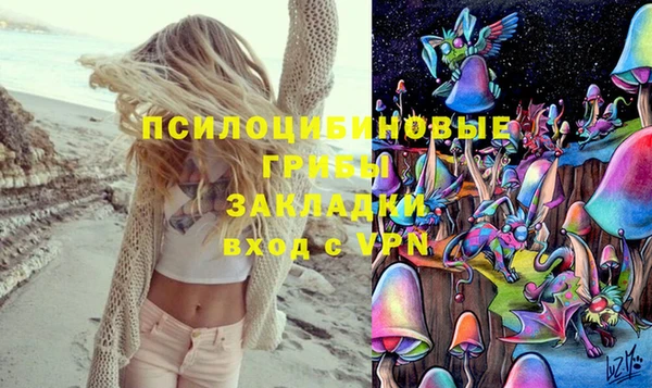 шишки Балахна