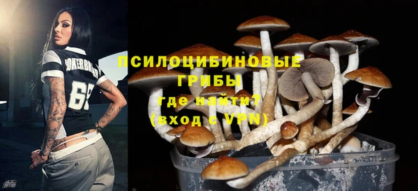 спайс Беломорск