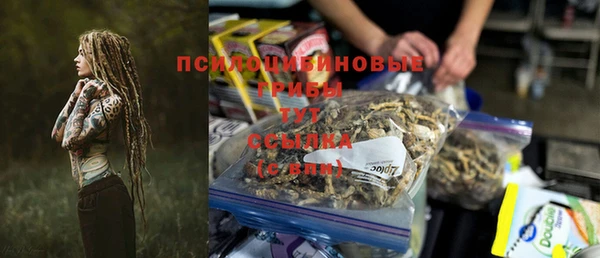 шишки Балахна