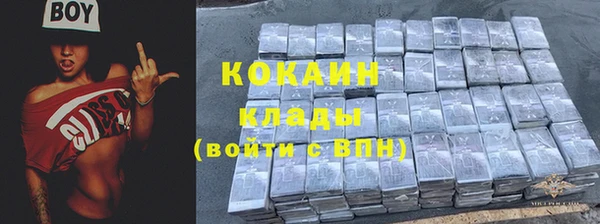 шишки Балахна