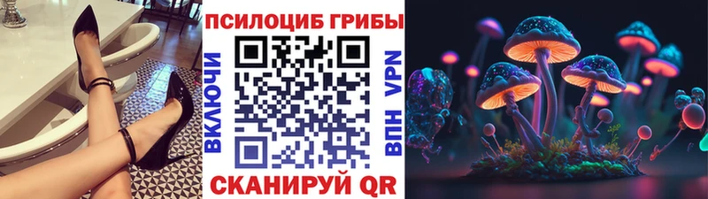 Галлюциногенные грибы Magic Shrooms  Заинск 